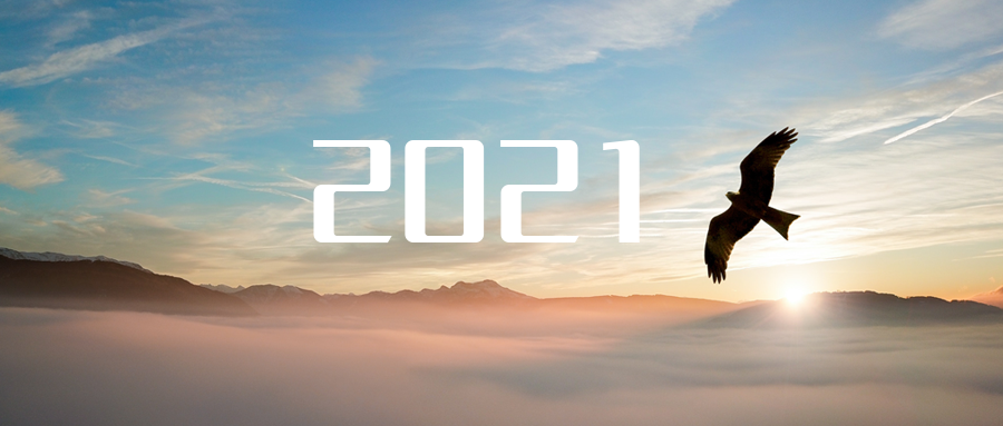 乘“峰”而上，智“盈”将来 ——2021年9001cc金沙以诚为本环境高级资深副总裁新年开工带头